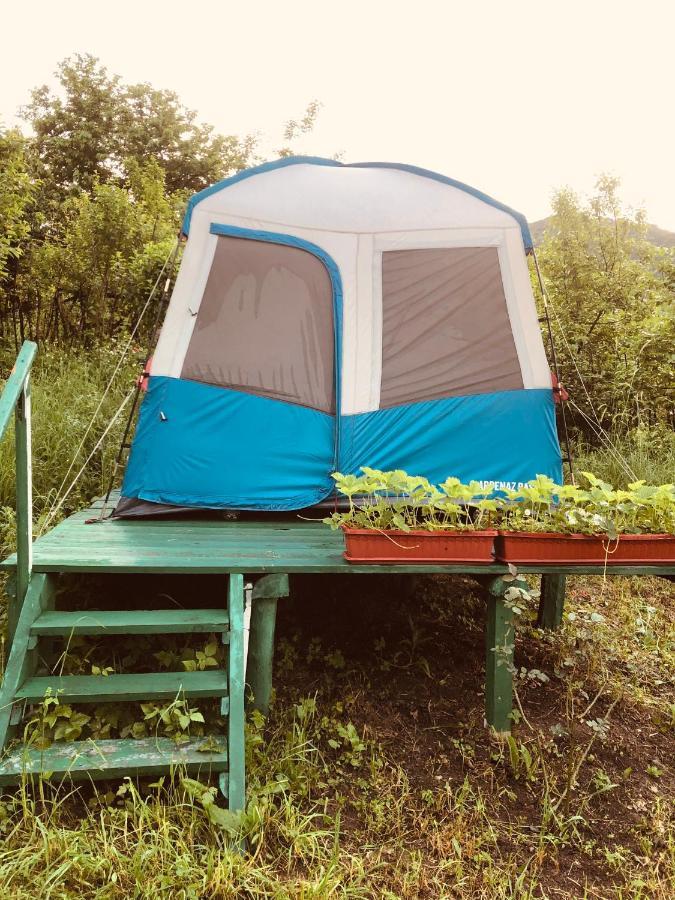 Hôtel Tereza Glamping à Sanain Extérieur photo