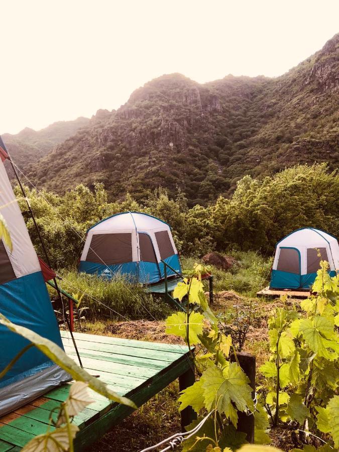 Hôtel Tereza Glamping à Sanain Extérieur photo