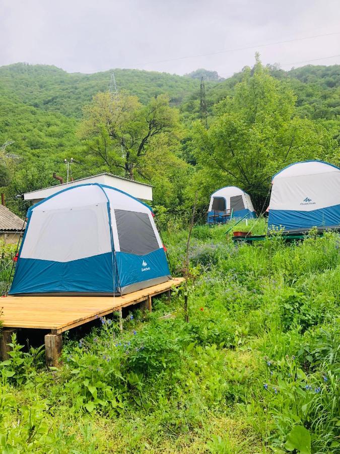 Hôtel Tereza Glamping à Sanain Extérieur photo