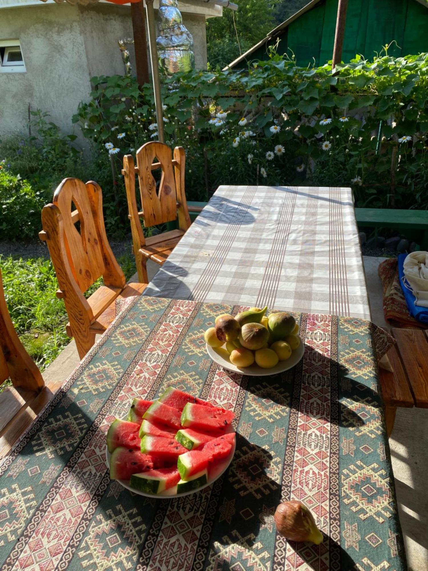 Hôtel Tereza Glamping à Sanain Extérieur photo