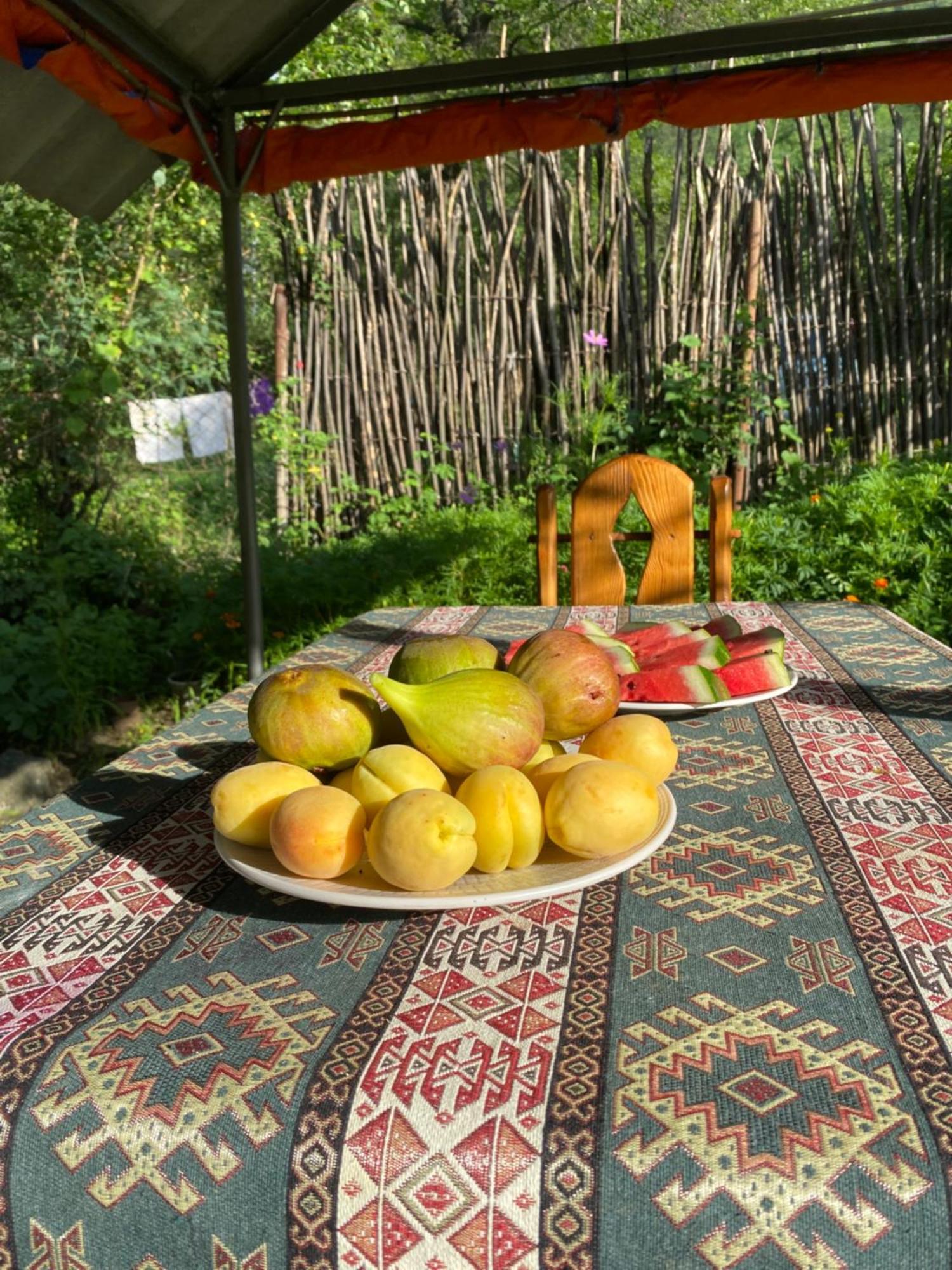 Hôtel Tereza Glamping à Sanain Extérieur photo