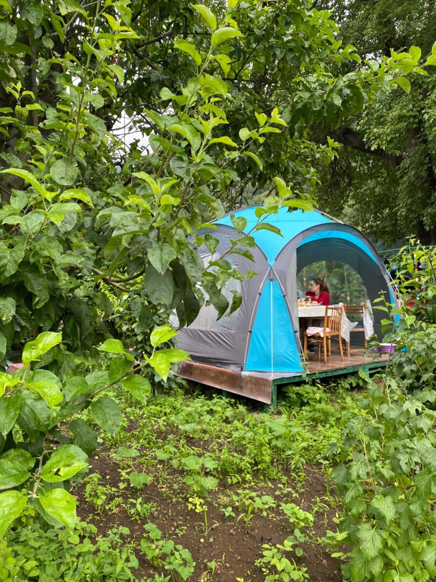 Hôtel Tereza Glamping à Sanain Extérieur photo