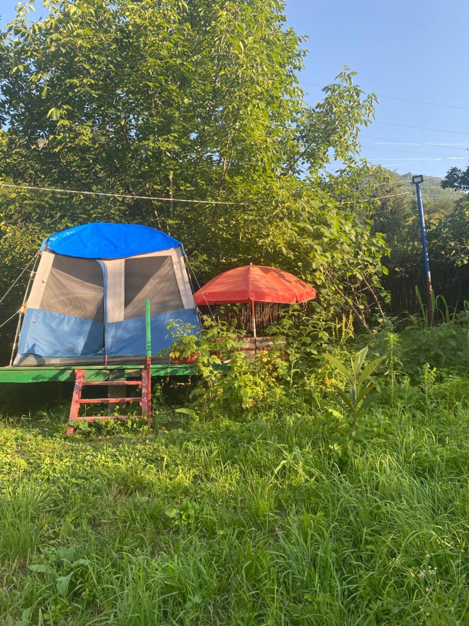 Hôtel Tereza Glamping à Sanain Extérieur photo