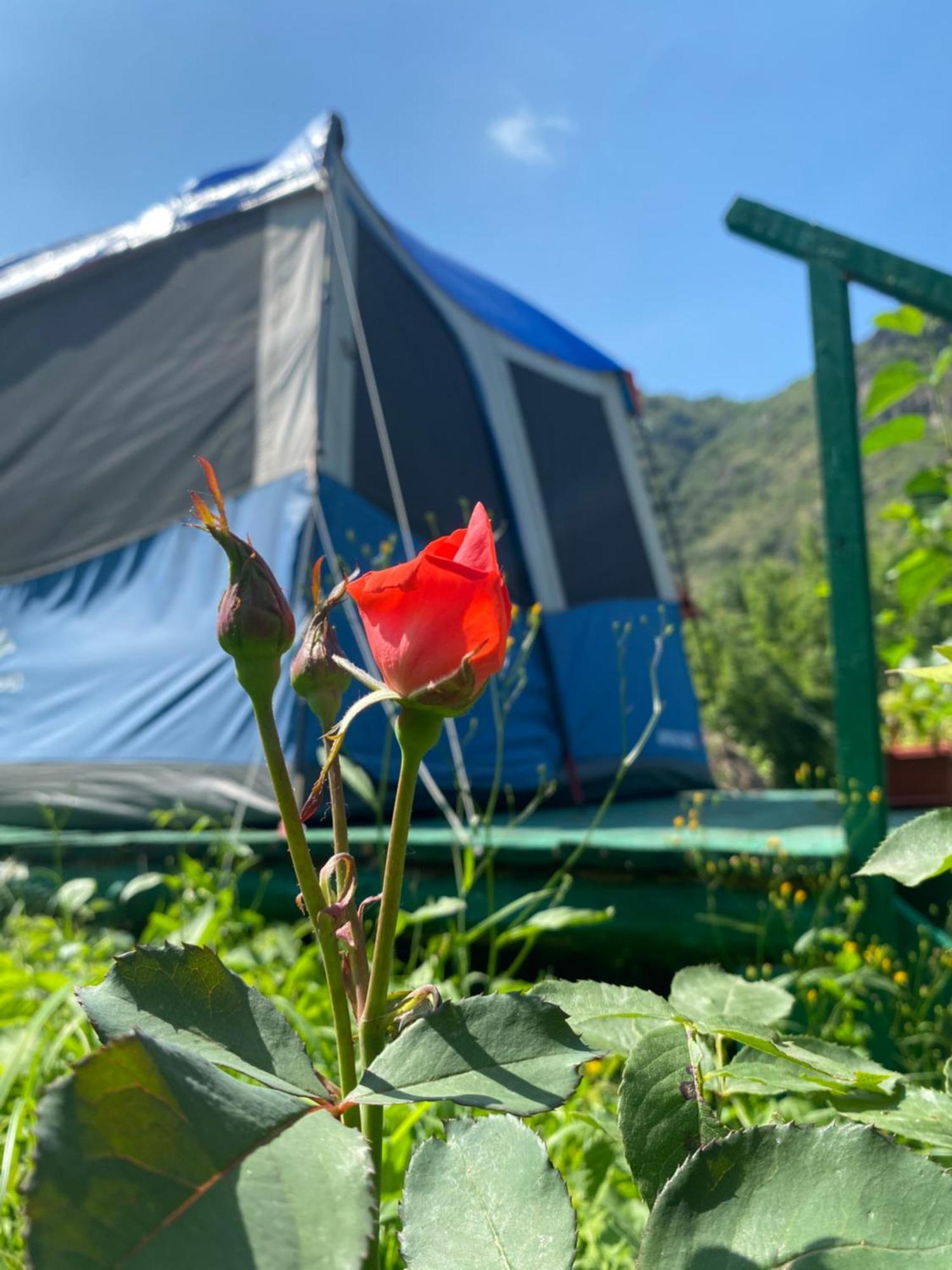 Hôtel Tereza Glamping à Sanain Extérieur photo