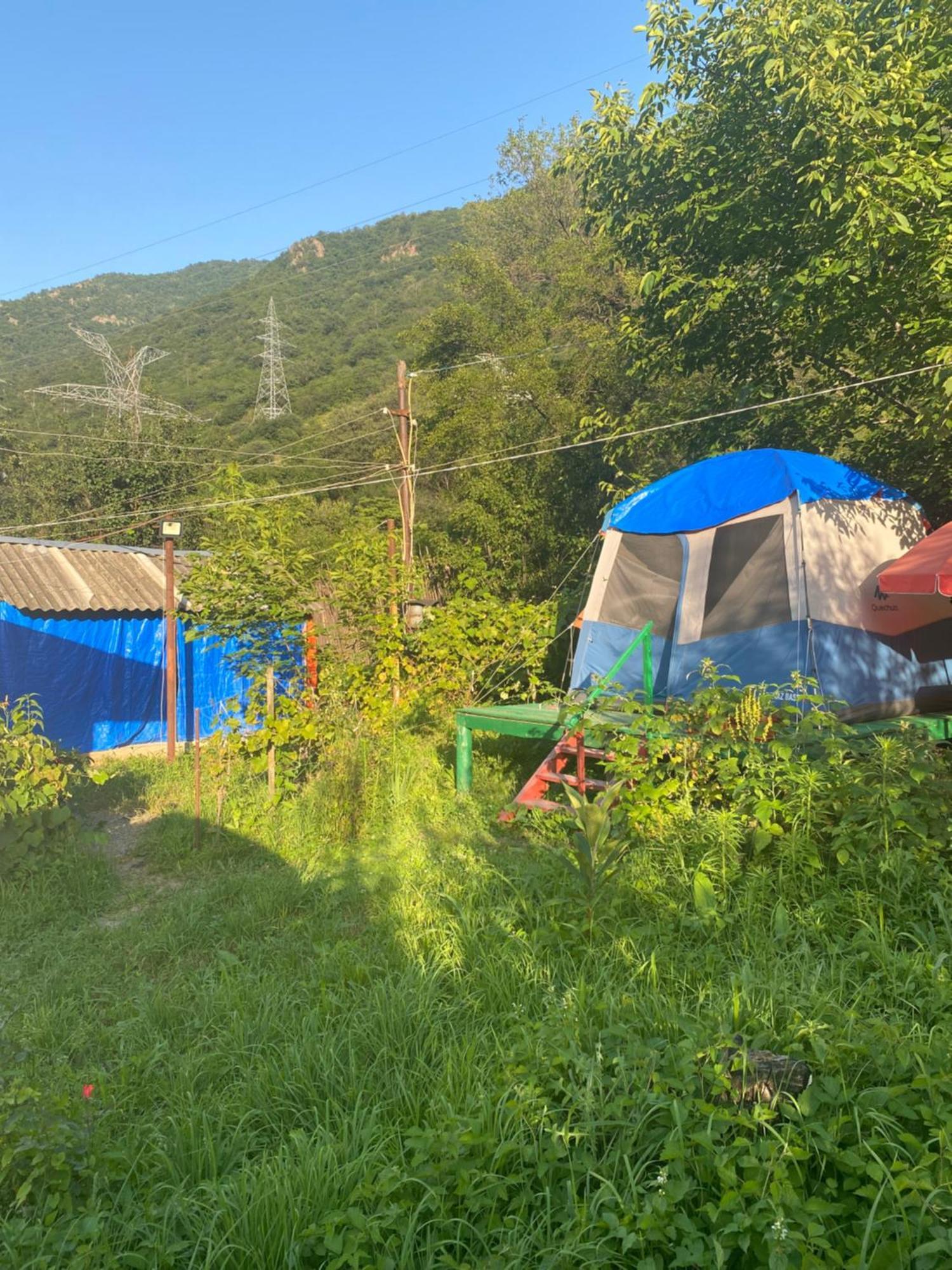 Hôtel Tereza Glamping à Sanain Extérieur photo