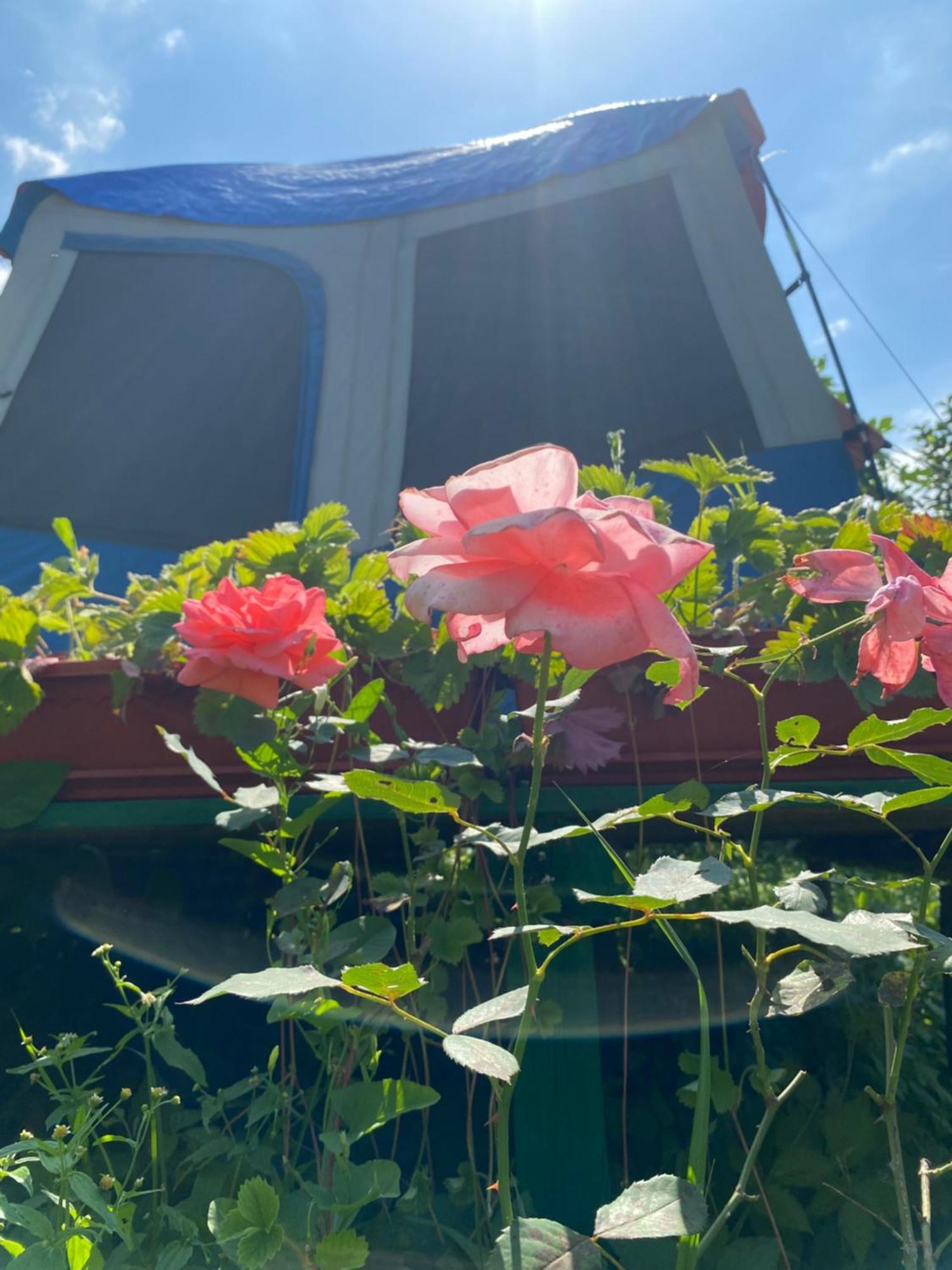 Hôtel Tereza Glamping à Sanain Extérieur photo