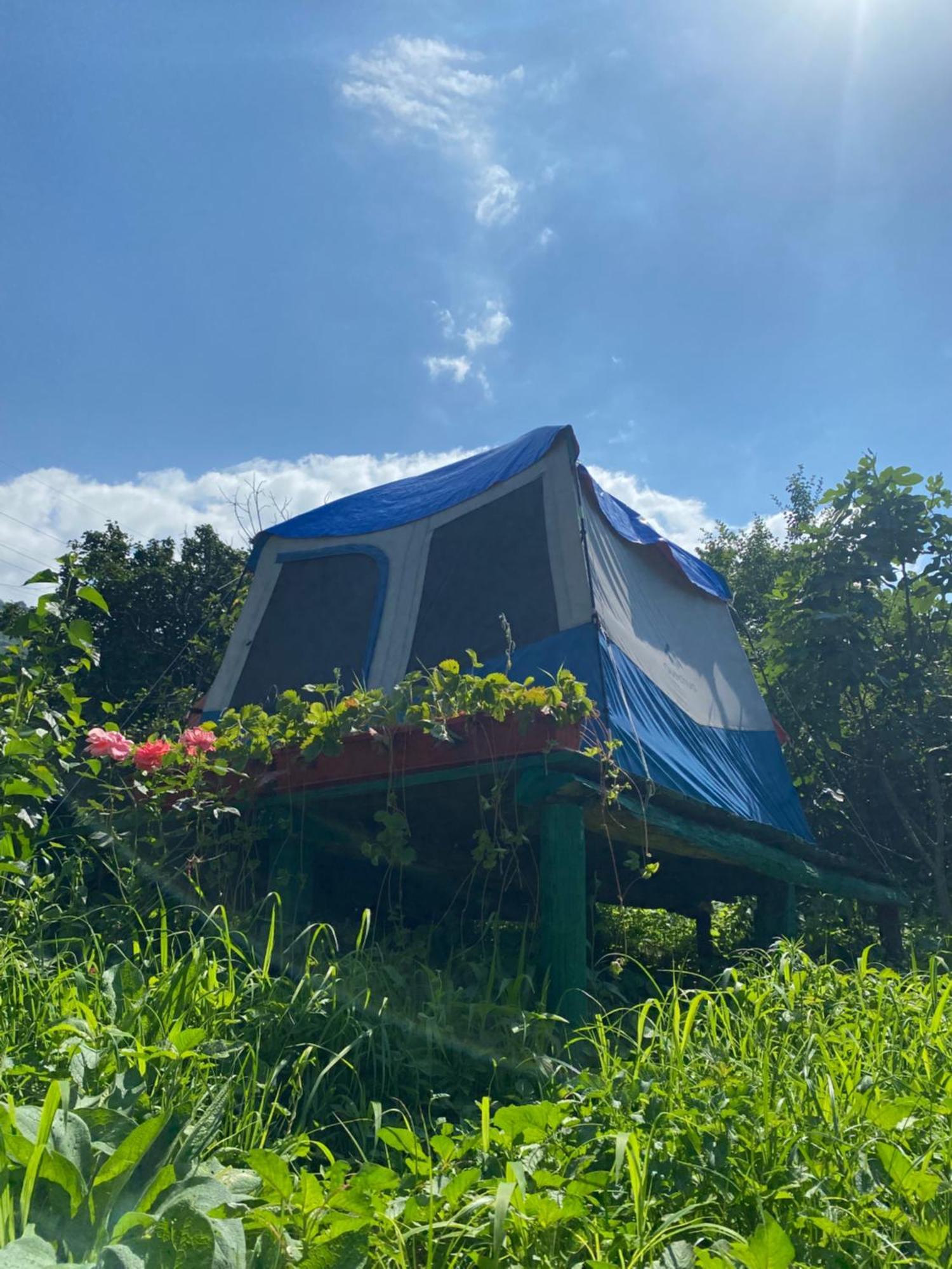 Hôtel Tereza Glamping à Sanain Extérieur photo